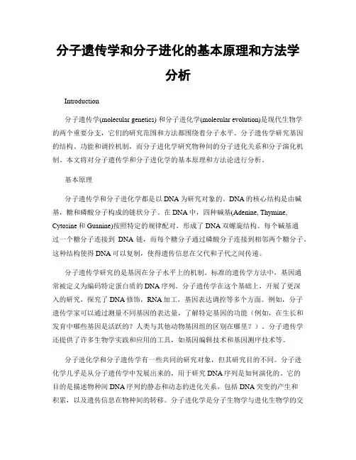 分子遗传学和分子进化的基本原理和方法学分析