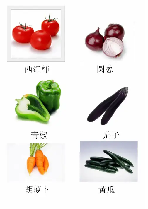 各种蔬菜图片总汇
