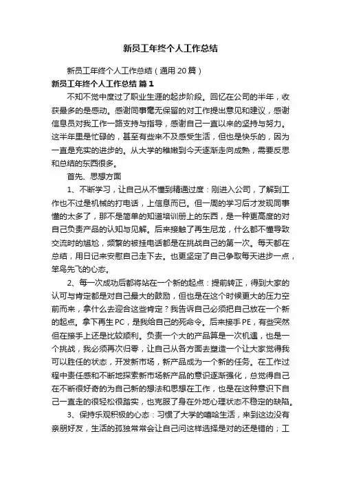 新员工年终个人工作总结（通用20篇）