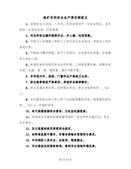 选矿车间安全生产责任制范文（3篇）