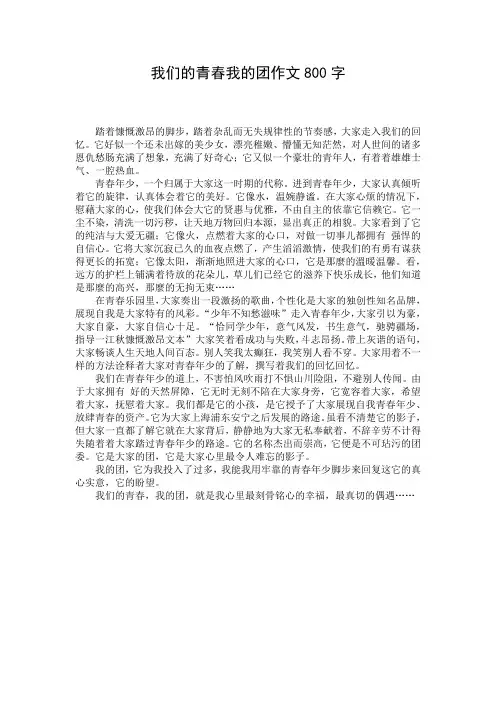 我们的青春我的团作文800字