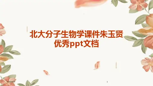 北大分子生物学课件朱玉贤优秀ppt文档-2024鲜版