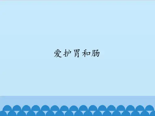 首师大版 四年级下册科学课件爱护胃和肠(共13张PPT)