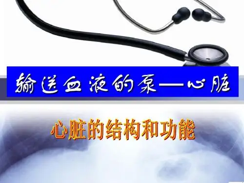 心脏结构和功能