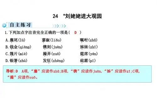 2019秋人教部编版九年级语文上册习题课件：24 刘姥姥进大观园 (共12张PPT)