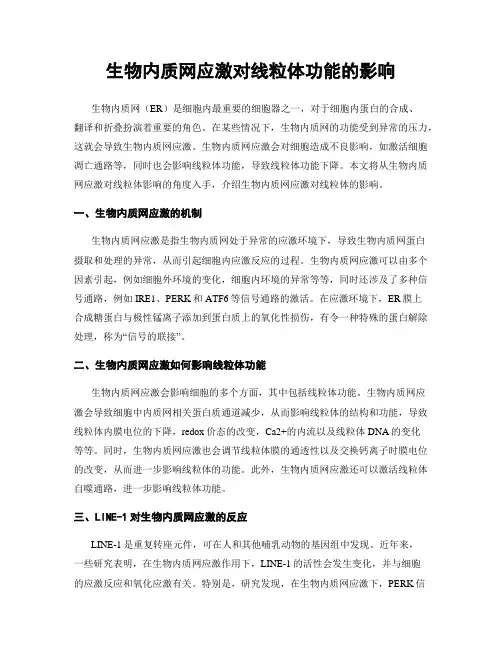 生物内质网应激对线粒体功能的影响