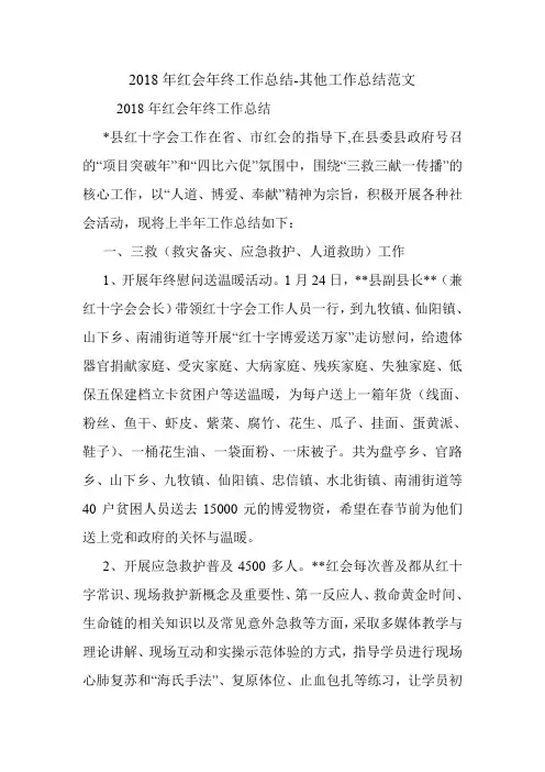 2018年红会年终工作总结-其他工作总结范文.doc