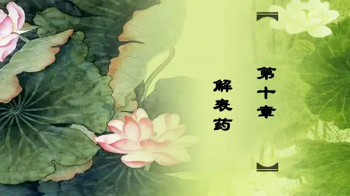 10章解表药-辛凉解表