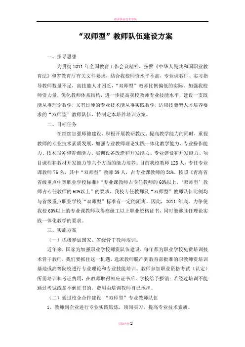 双师型教师队伍建设方案