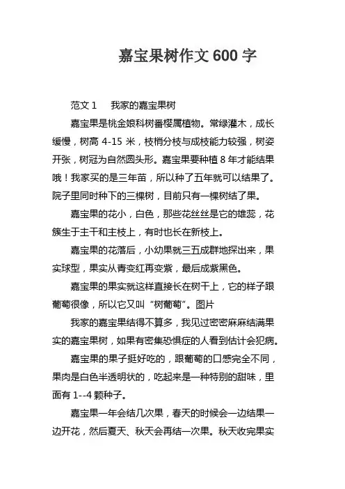 嘉宝果树作文600字