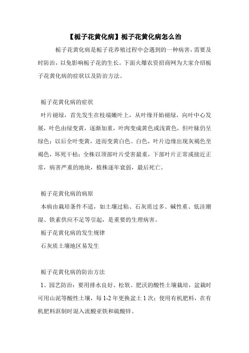 【栀子花黄化病】栀子花黄化病怎么治.doc