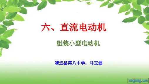 北师大版九年级全一册物理《 六、直流电动机》课件