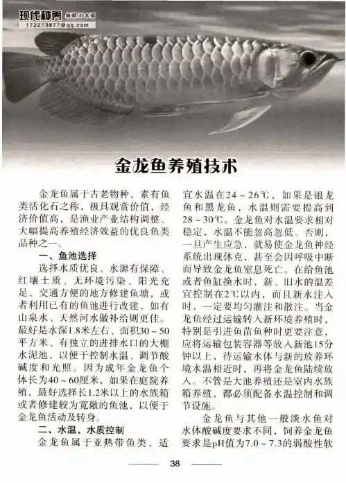 金龙鱼养殖技术