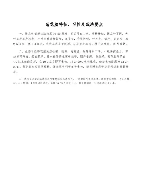 菊花脑特征、习性及栽培要点