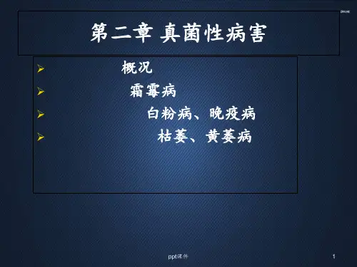 真菌性病害  ppt课件