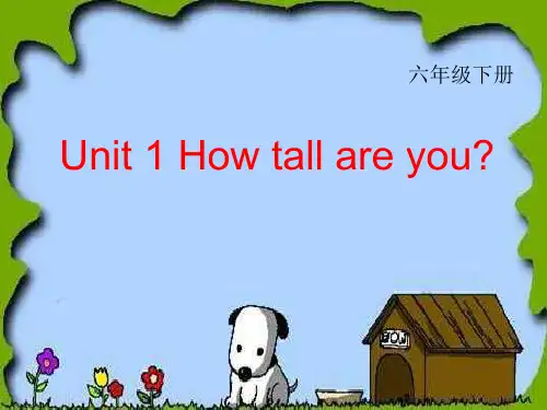 六年级英语下册 Unit1 How tall are you课件 人教PEP