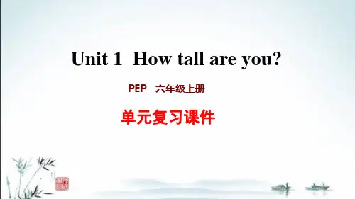 新人教PEP版小学英语六年级下册期末全册单元复习课件(含专题)