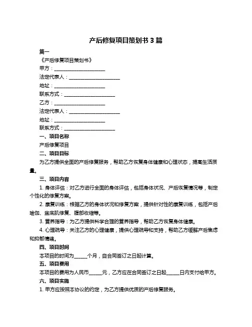 产后修复项目策划书3篇