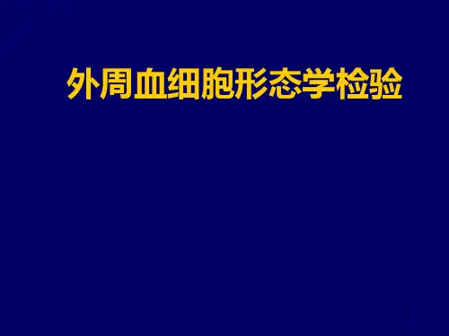 血涂片、红细胞形态PPT课件