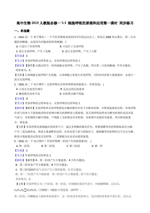高中生物第一册 5 3 细胞呼吸的原理和应用第一课时 同步练习((含答案))