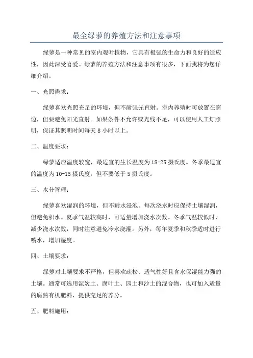 最全绿萝的养殖方法和注意事项