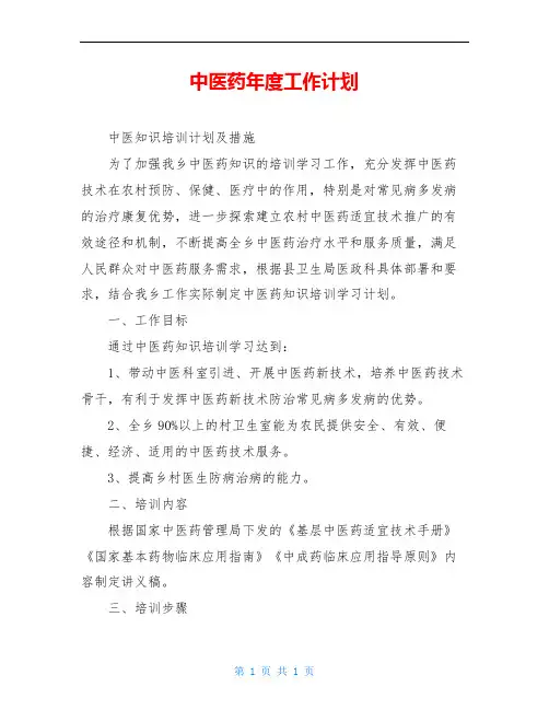 中医药年度工作计划