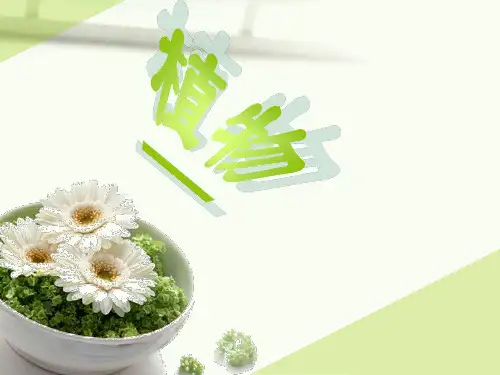 室内植物介绍