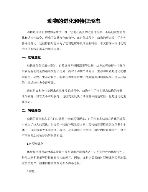 动物的进化和特征形态