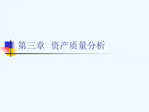 第三章资产质量分析