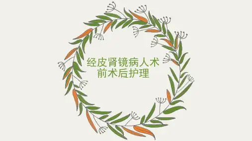 经皮肾镜病人术前术后护理