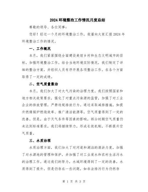 2024环境整治工作情况月度总结