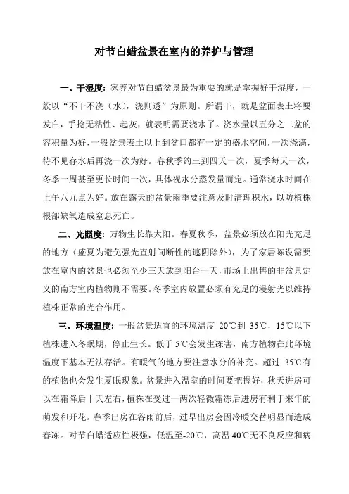 对节白蜡盆景在室内的养护与管理