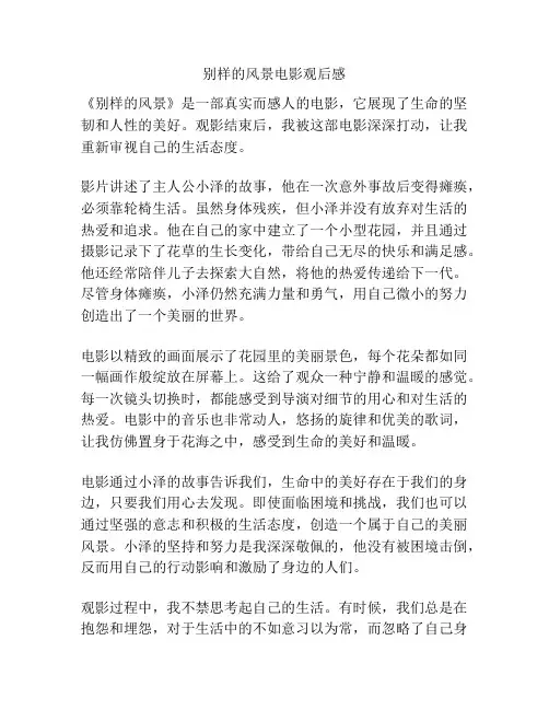 别样的风景电影观后感