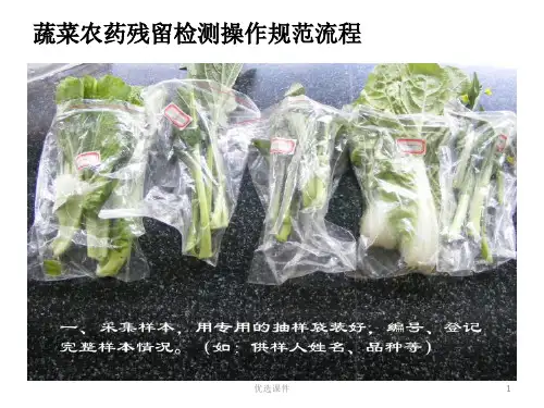 蔬菜农药残留检测操作规范流程管理材料