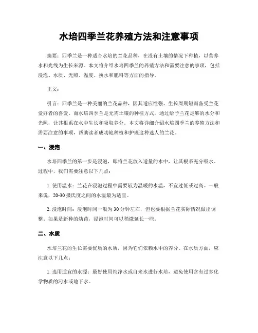 水培四季兰花养殖方法和注意事项
