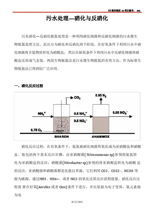 污水处理—硝化与反硝化