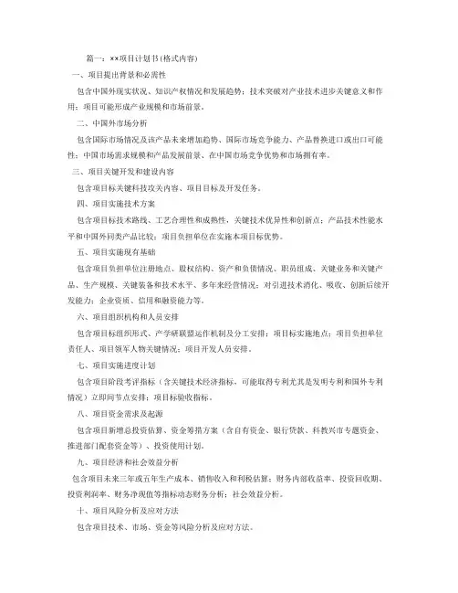 综合项目专题计划书范本