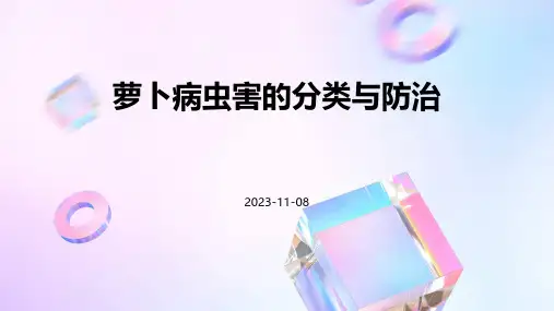 萝卜病虫害的分类与防治