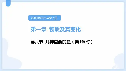 浙教版九年级科学上册《几种重要的盐》PPT精品课件