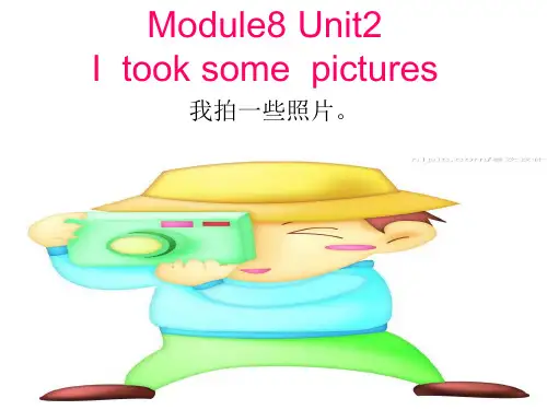 外研版四年级下册英语Module8_unit2_I took some pictures.