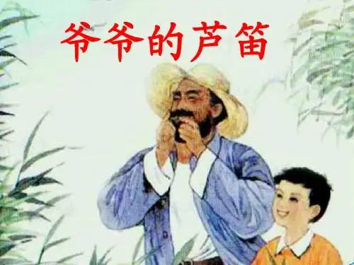《爷爷的芦笛》课件2-优质公开课-语文S版四下精品