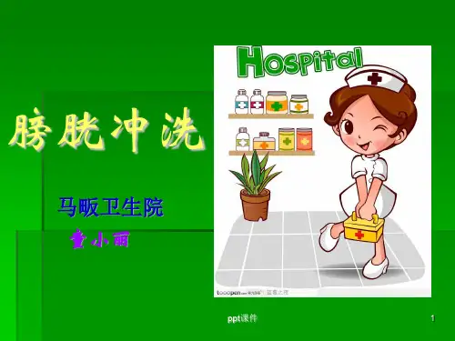 膀胱冲洗  ppt课件