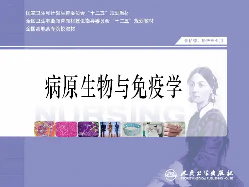 免疫应答