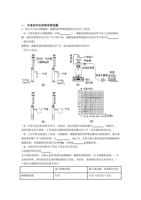 2020-2021化学探究题的专项培优练习题附详细答案