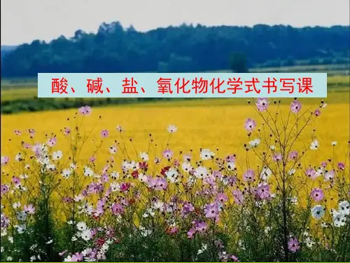 酸碱盐氧化物化学式书写课