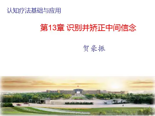 13认知疗法基础与应用-识别并矫正中间信念(PPT文档)
