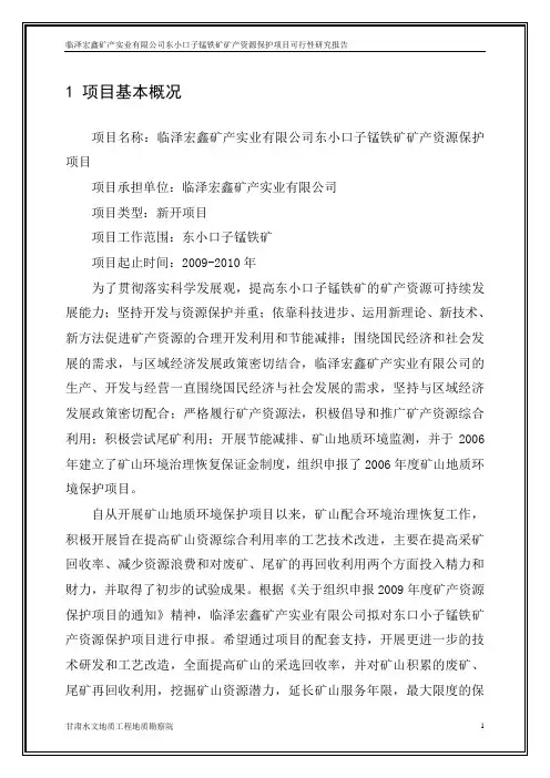 临泽宏鑫矿产实业有限公司东小口子锰铁矿可研新