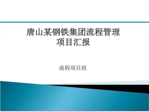 唐山某钢铁公司流程梳理、流程规划、流程再造项目落地汇报材料(完整详实最终版)