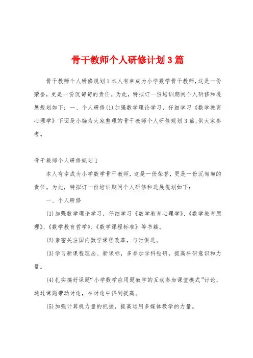 骨干教师个人研修计划3篇