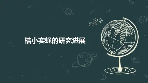 桔小实蝇的研究进展